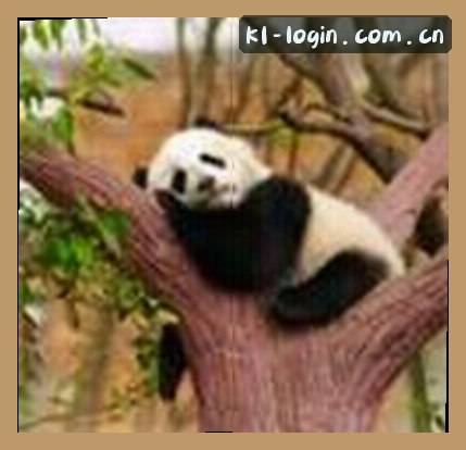 王磊
